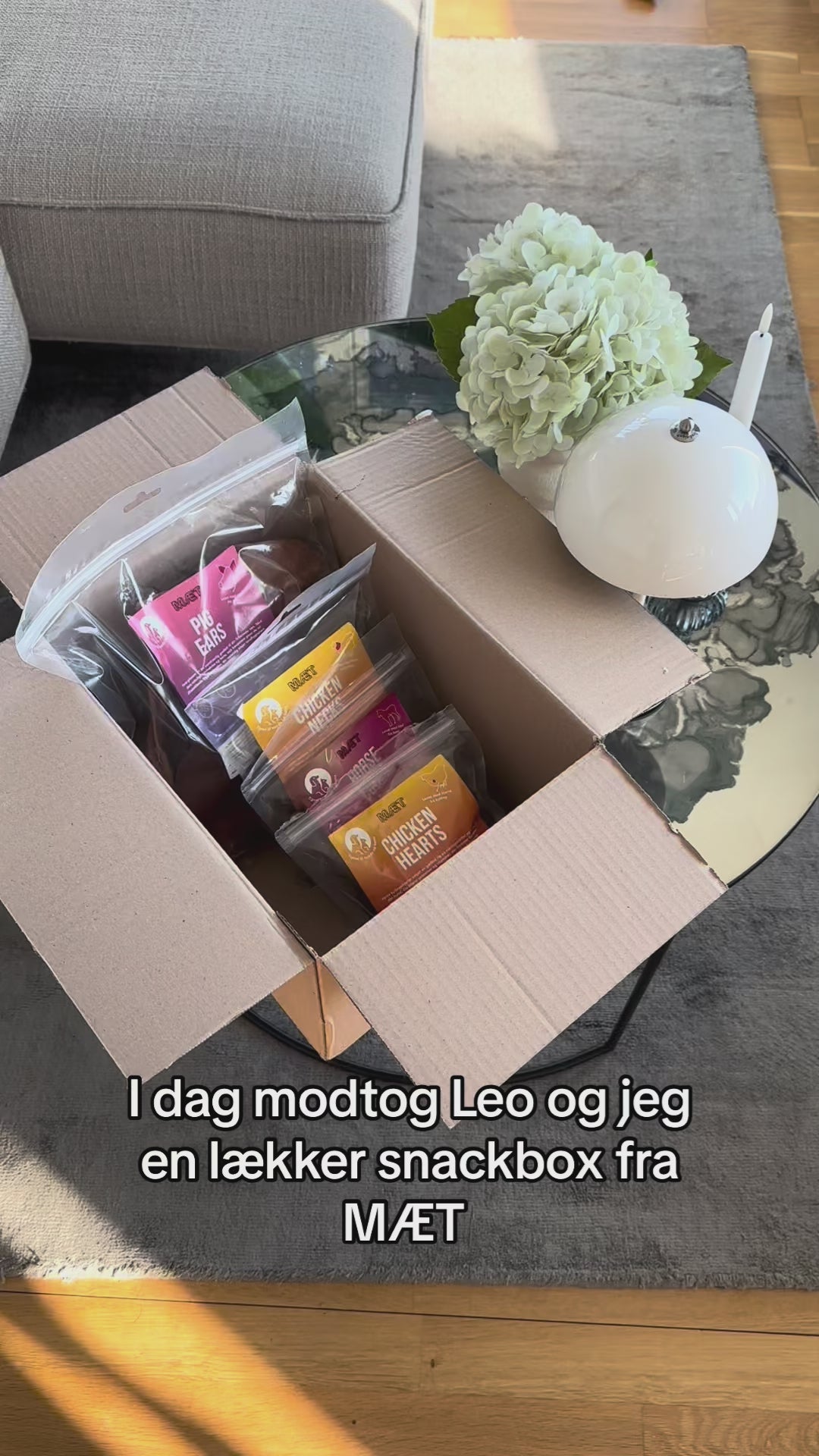 Load video: 